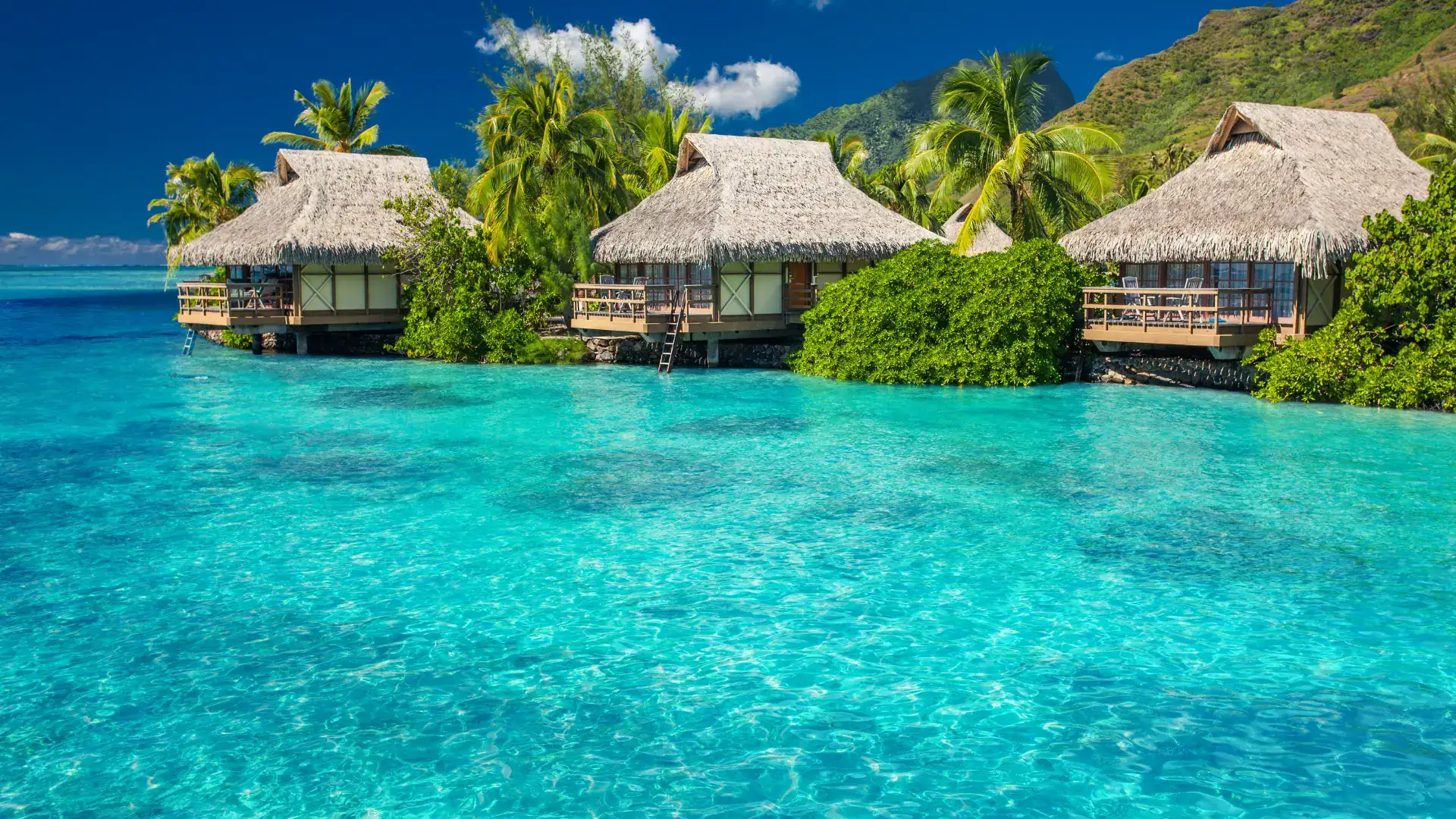 Overwater bungalows with thatched roofs above turquoise lagoon, Tahiti, French Polynesia