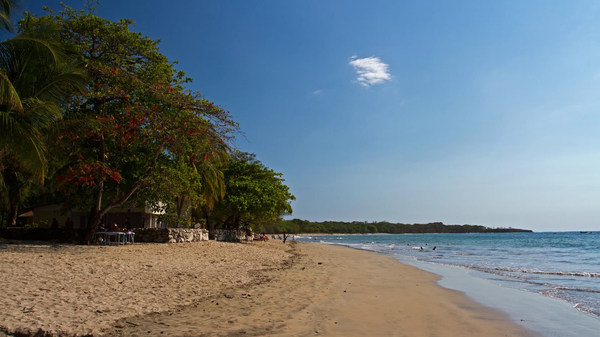 Tamarindo Beach with palm trees and calm surf on Costa Rica's Guanacaste coast